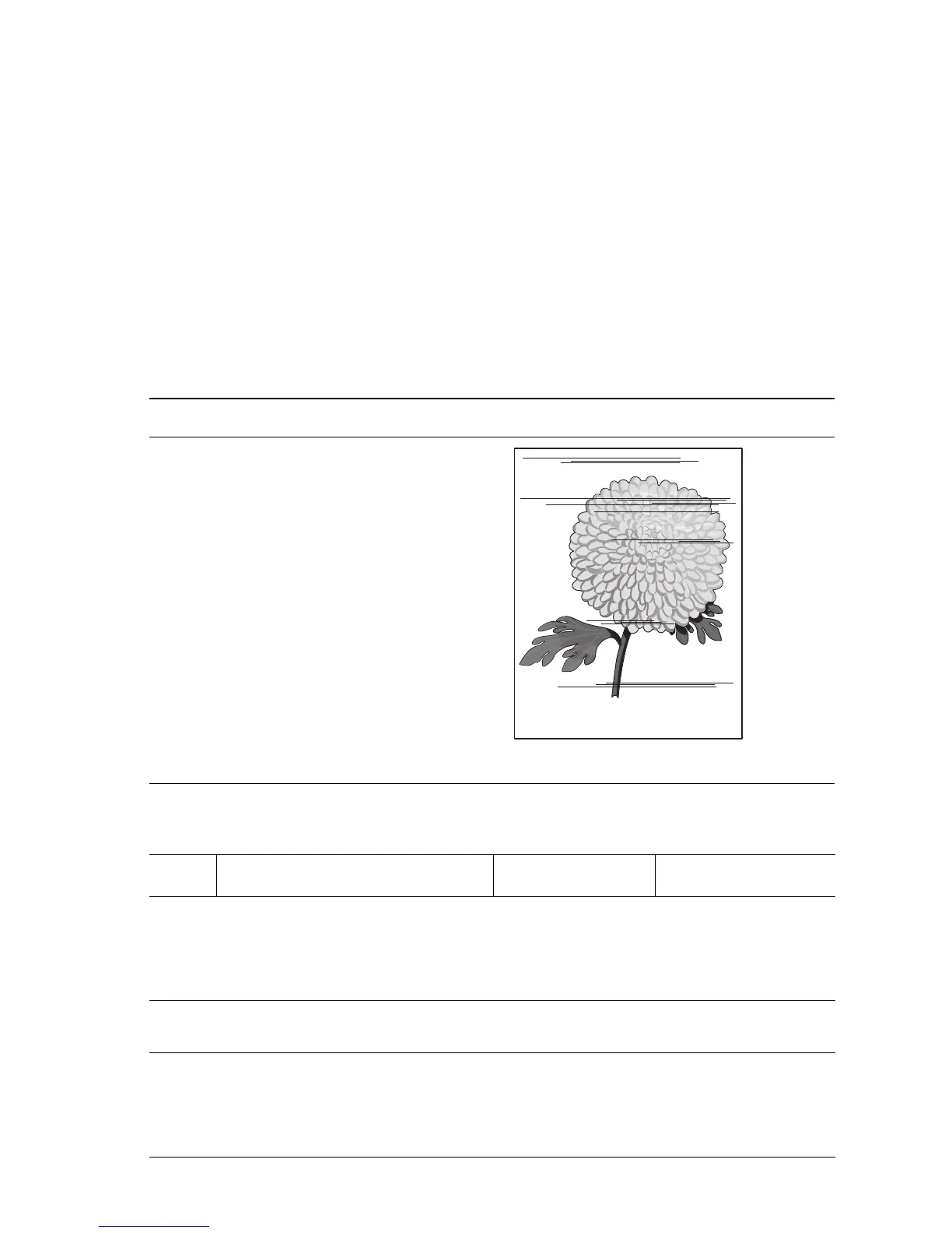 Page #373 background image