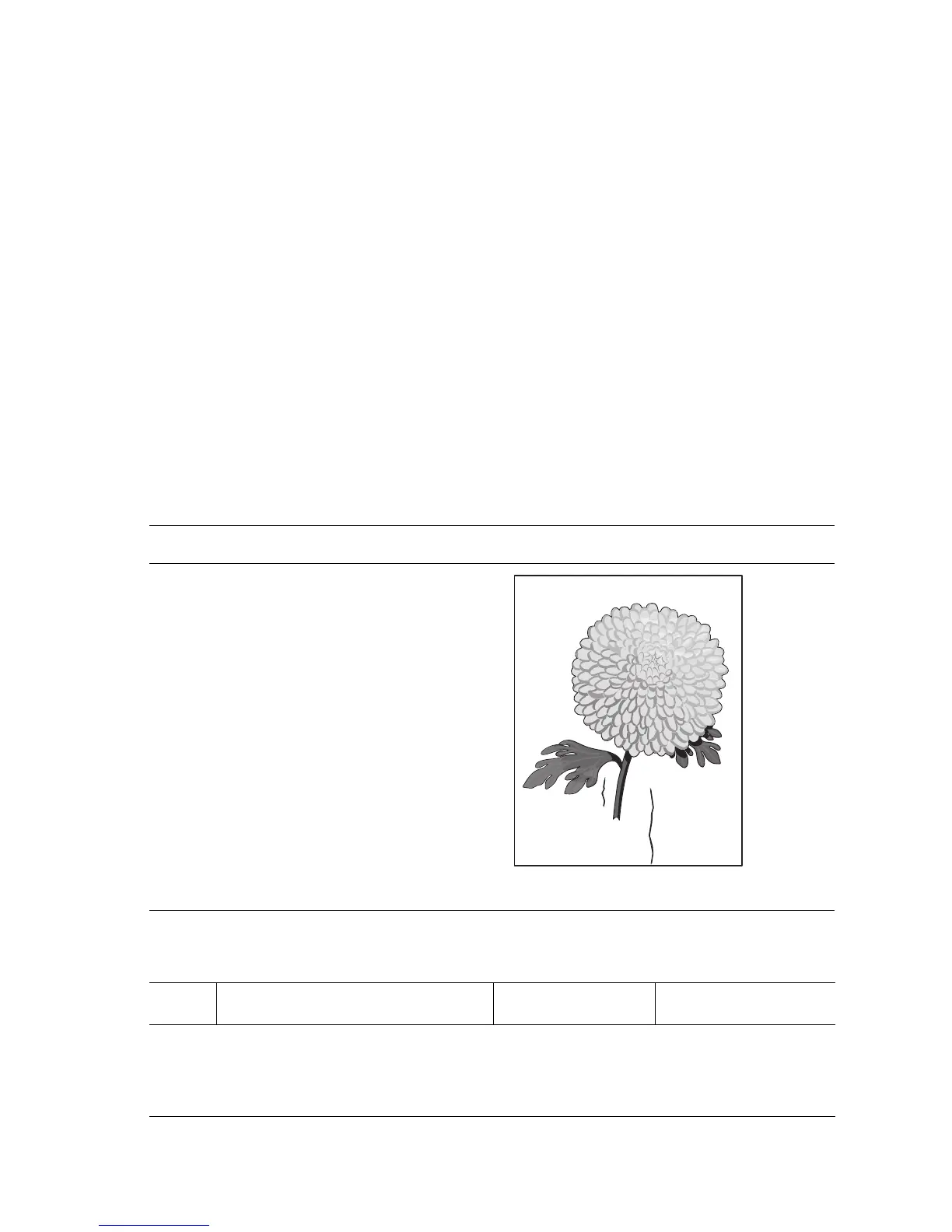 Page #379 background image