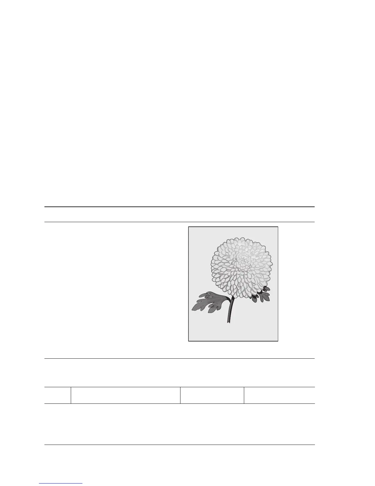 Page #386 background image
