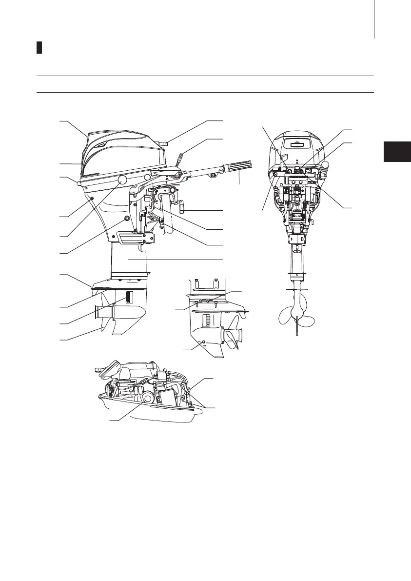 Page #275 background image