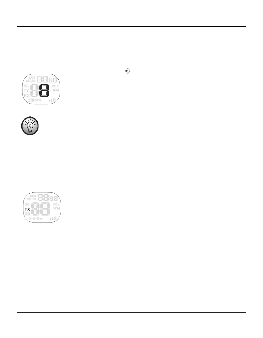 Page #81 background image