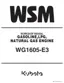 Preview: Workshop Manual
