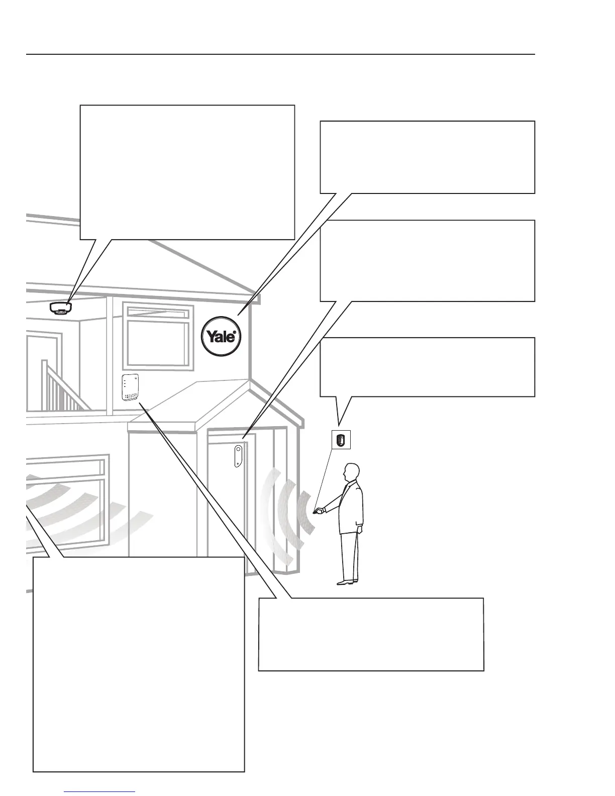 Page #3 background image