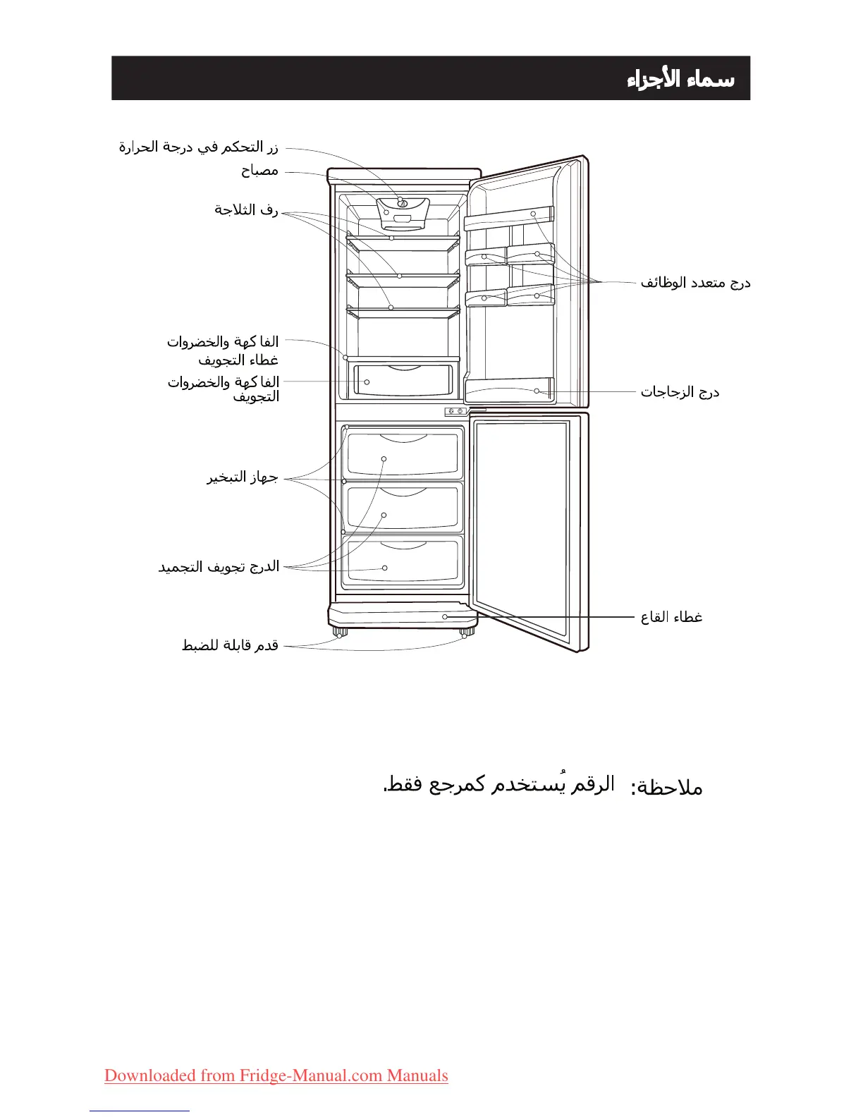 Page #38 background image