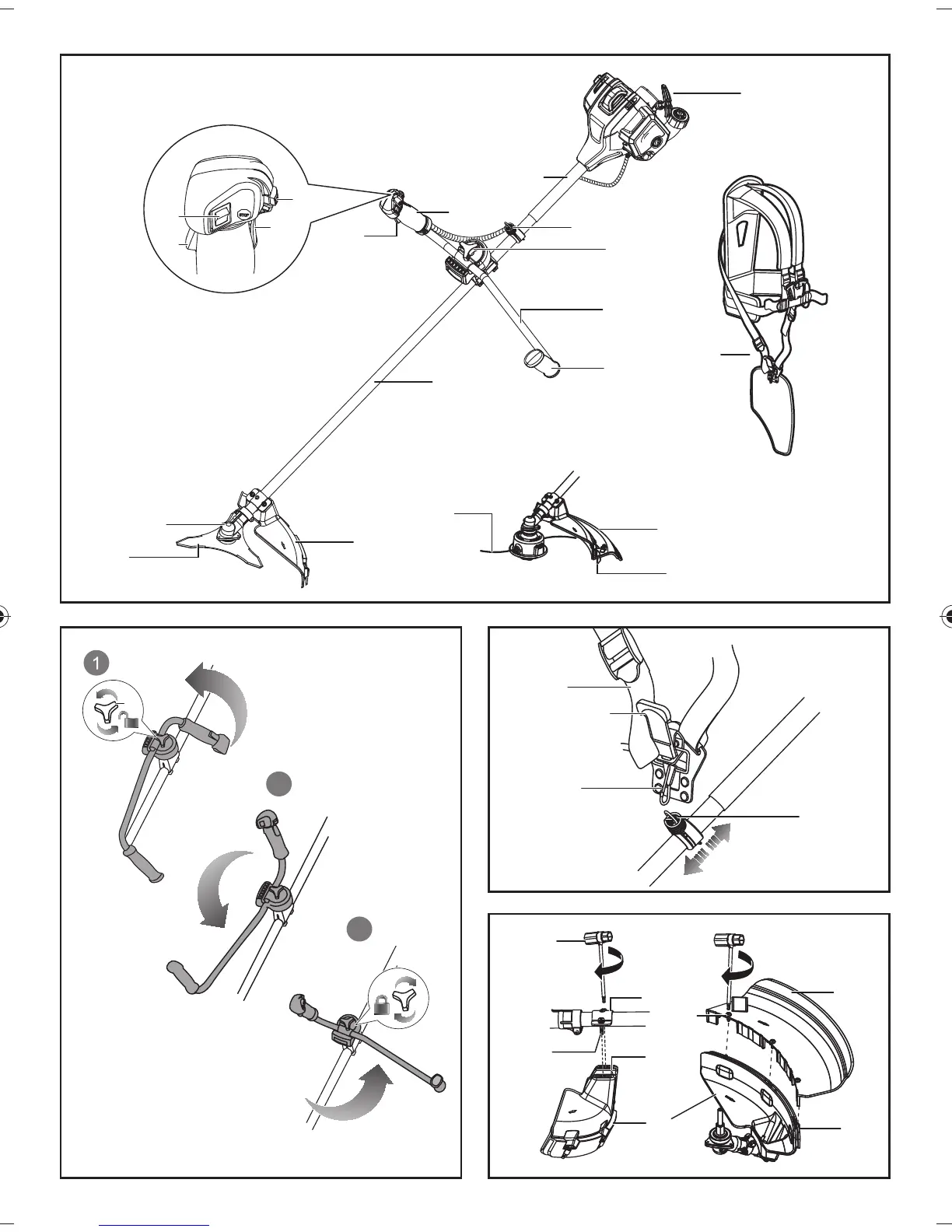 Page #2 background image