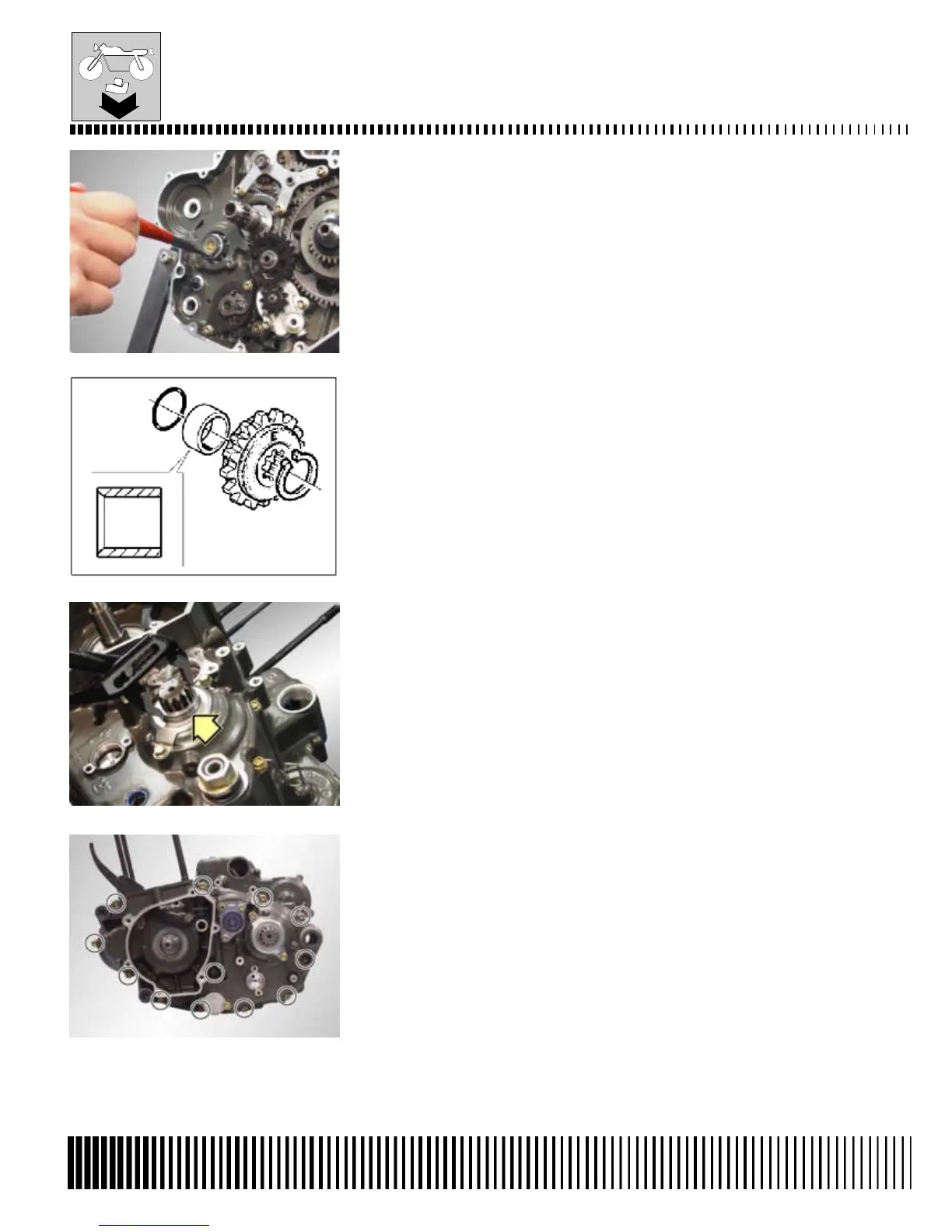 Page #224 background image