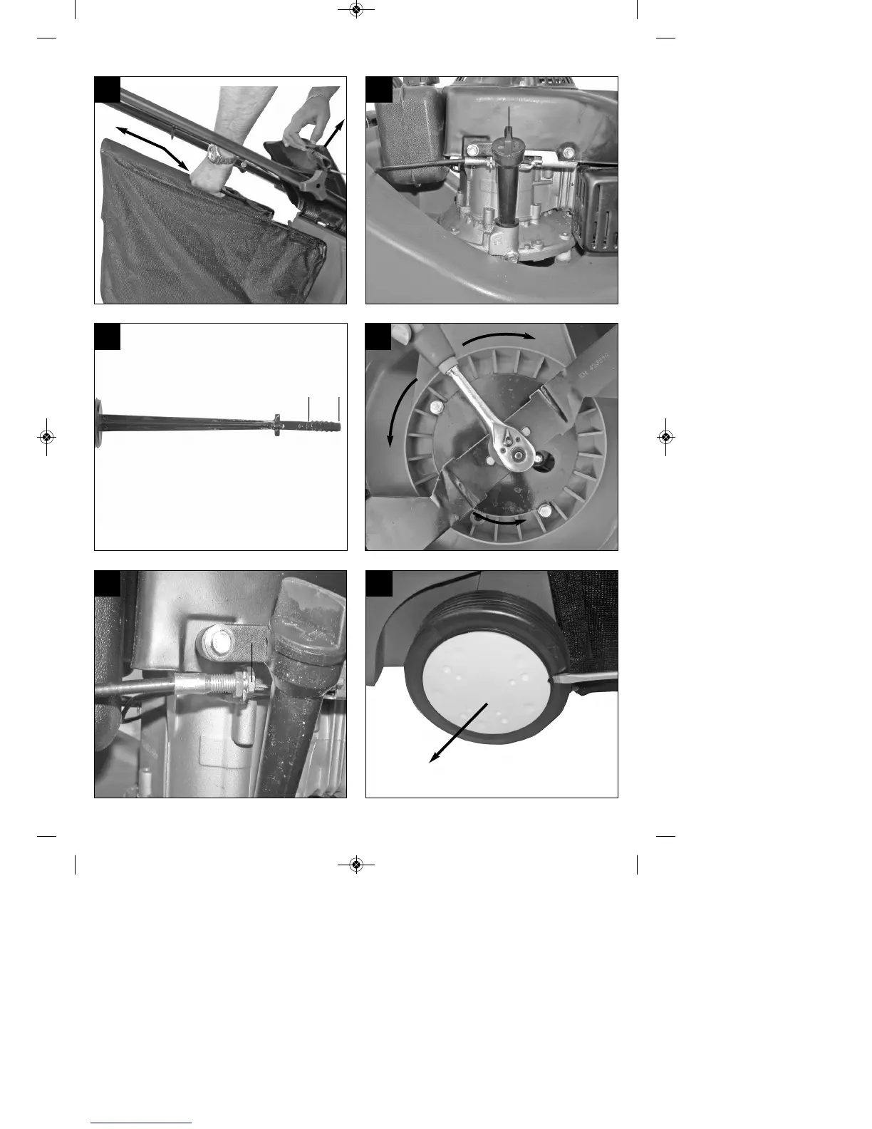 Page #6 background image