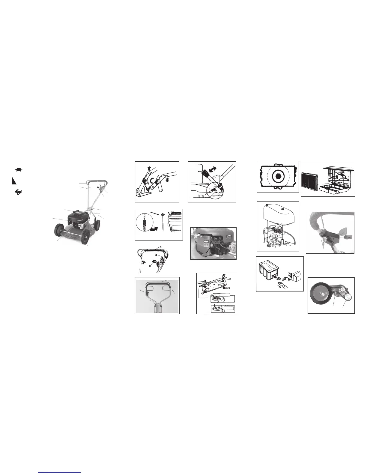 Page #2 background image