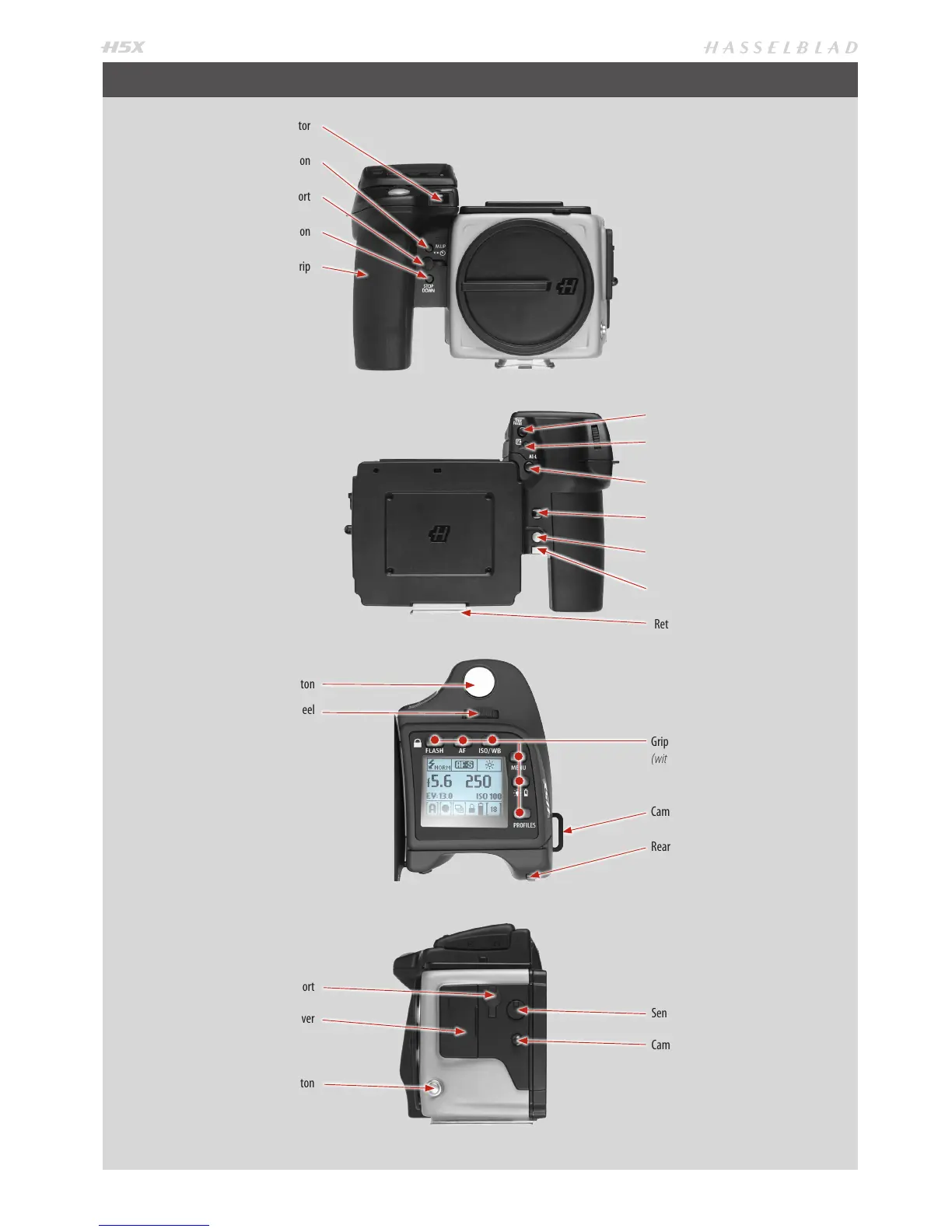 Page #6 background image