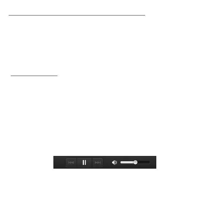 Page #305 background image