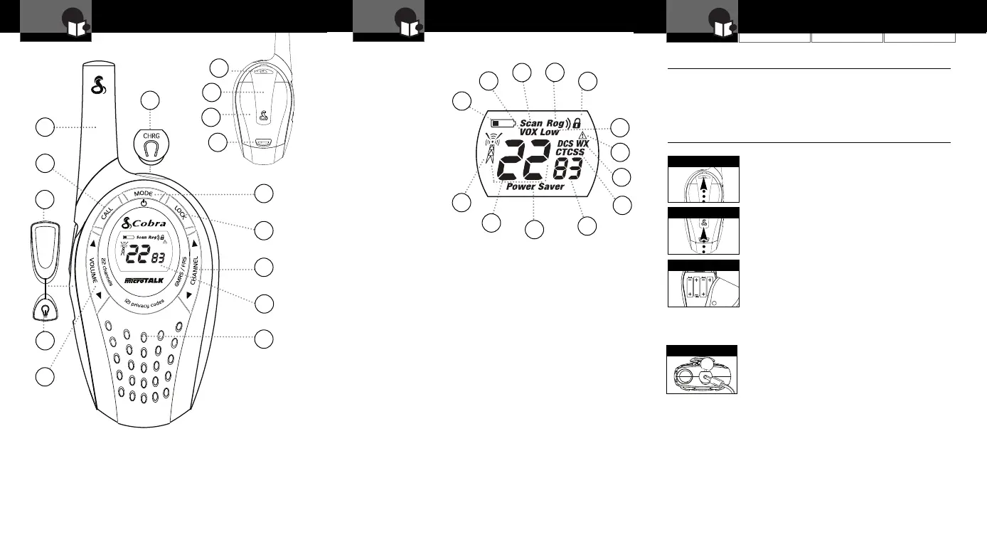 Page #2 background image