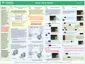 Preview: Cheat Sheet