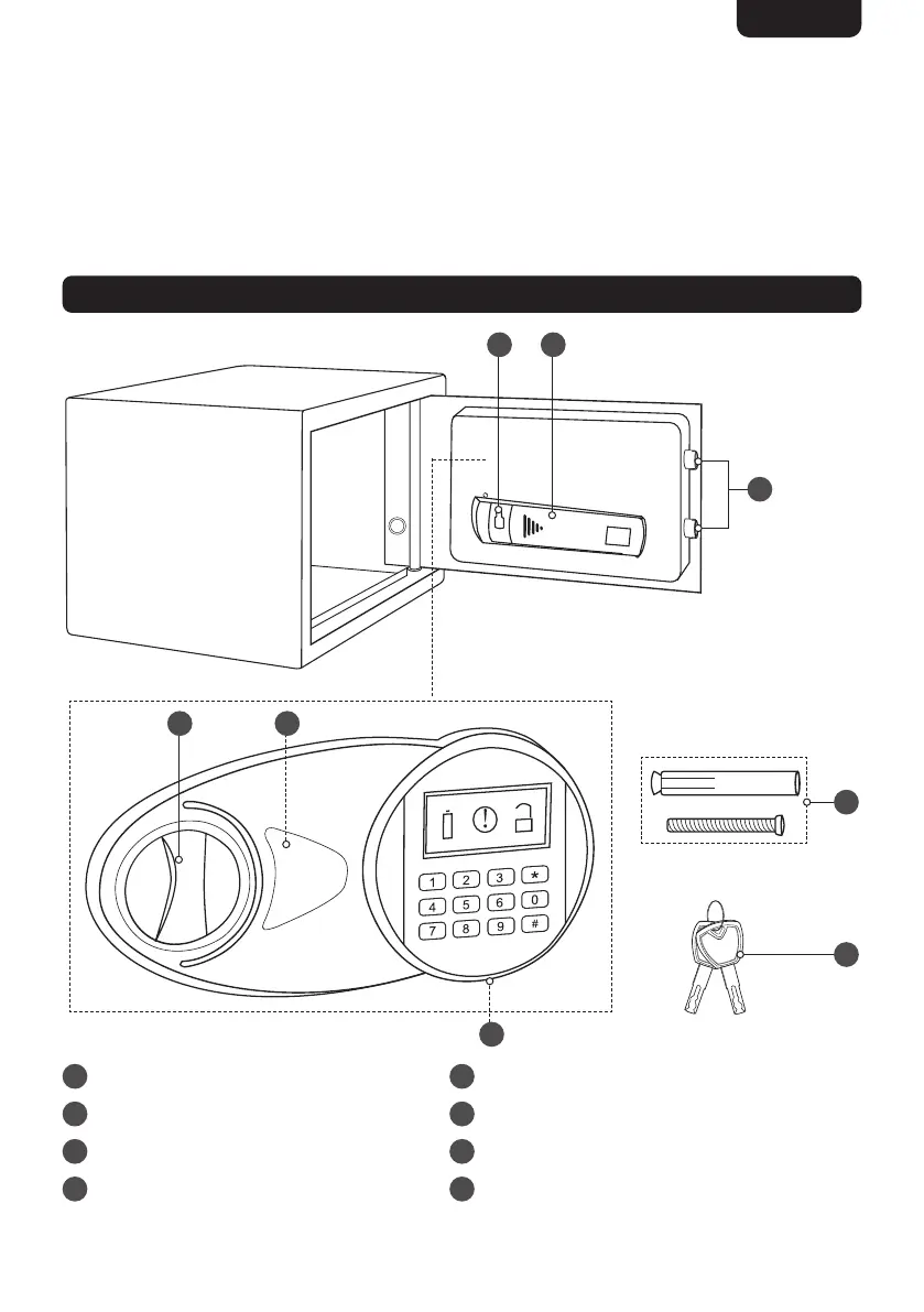 Page #3 background image
