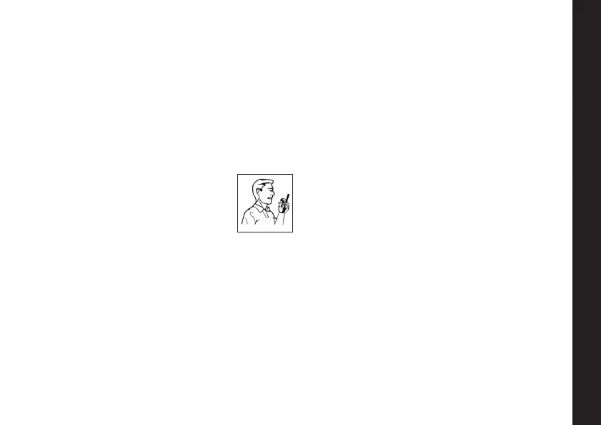 Page #61 background image