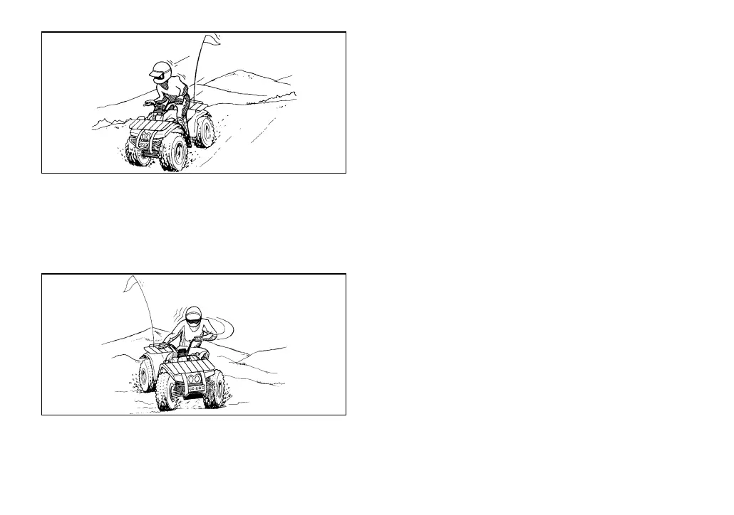 Page #244 background image