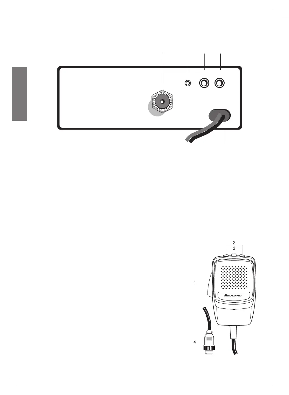 Page #5 background image