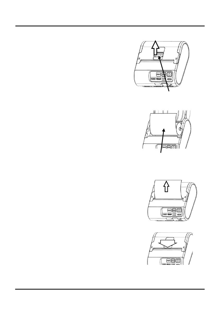 Page #23 background image