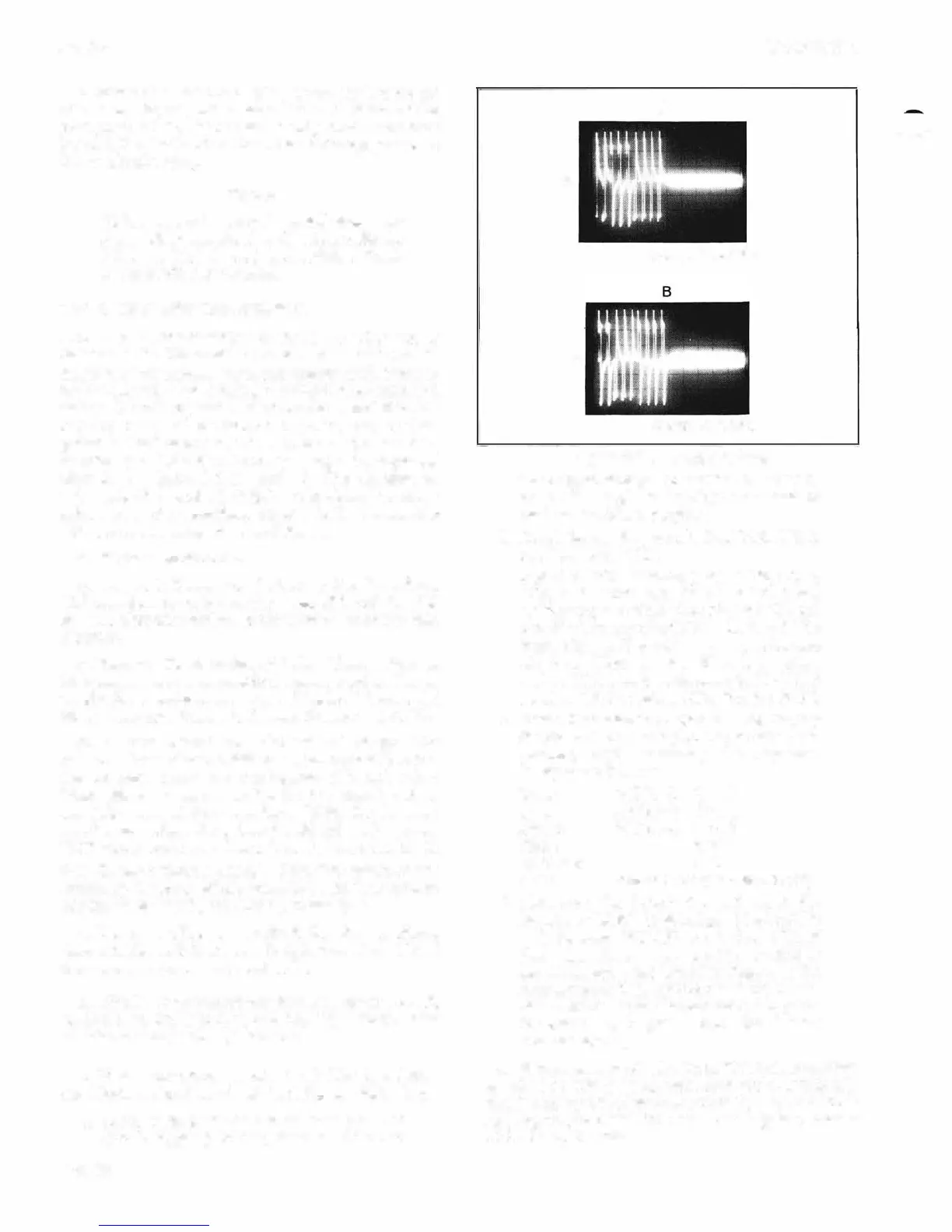 Page #234 background image