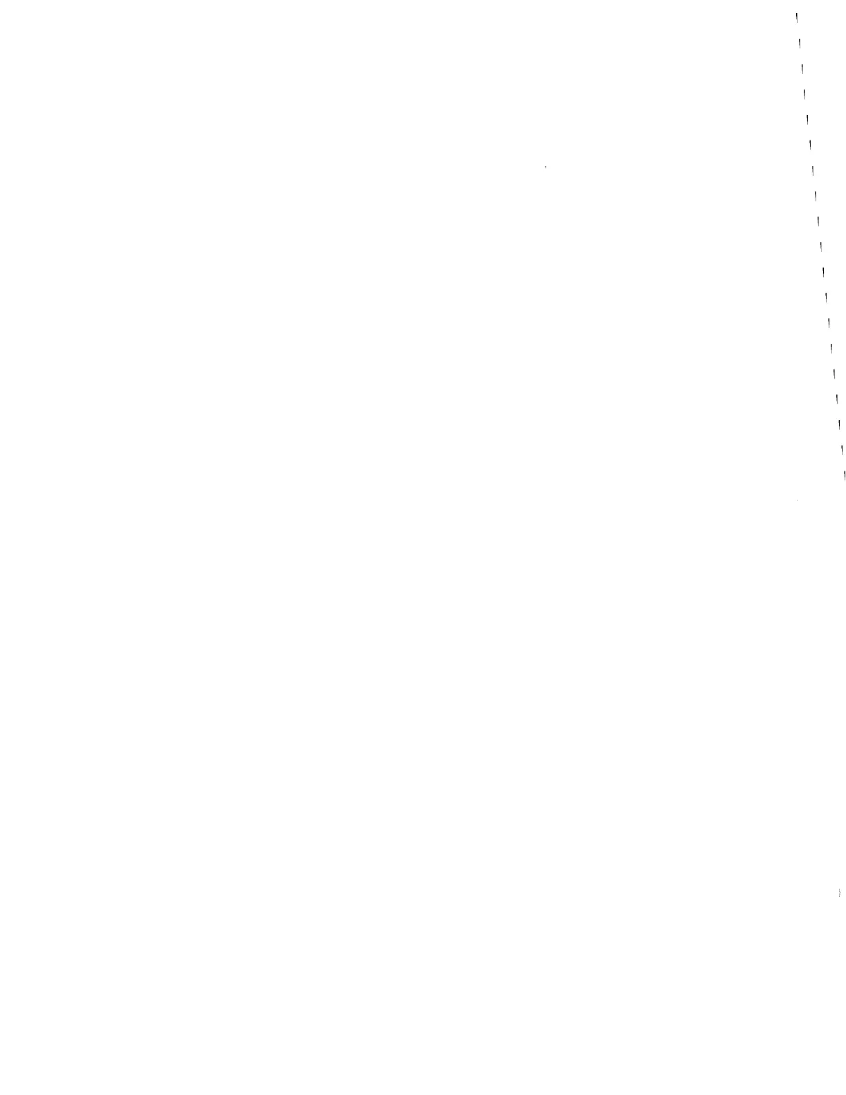 Page #304 background image