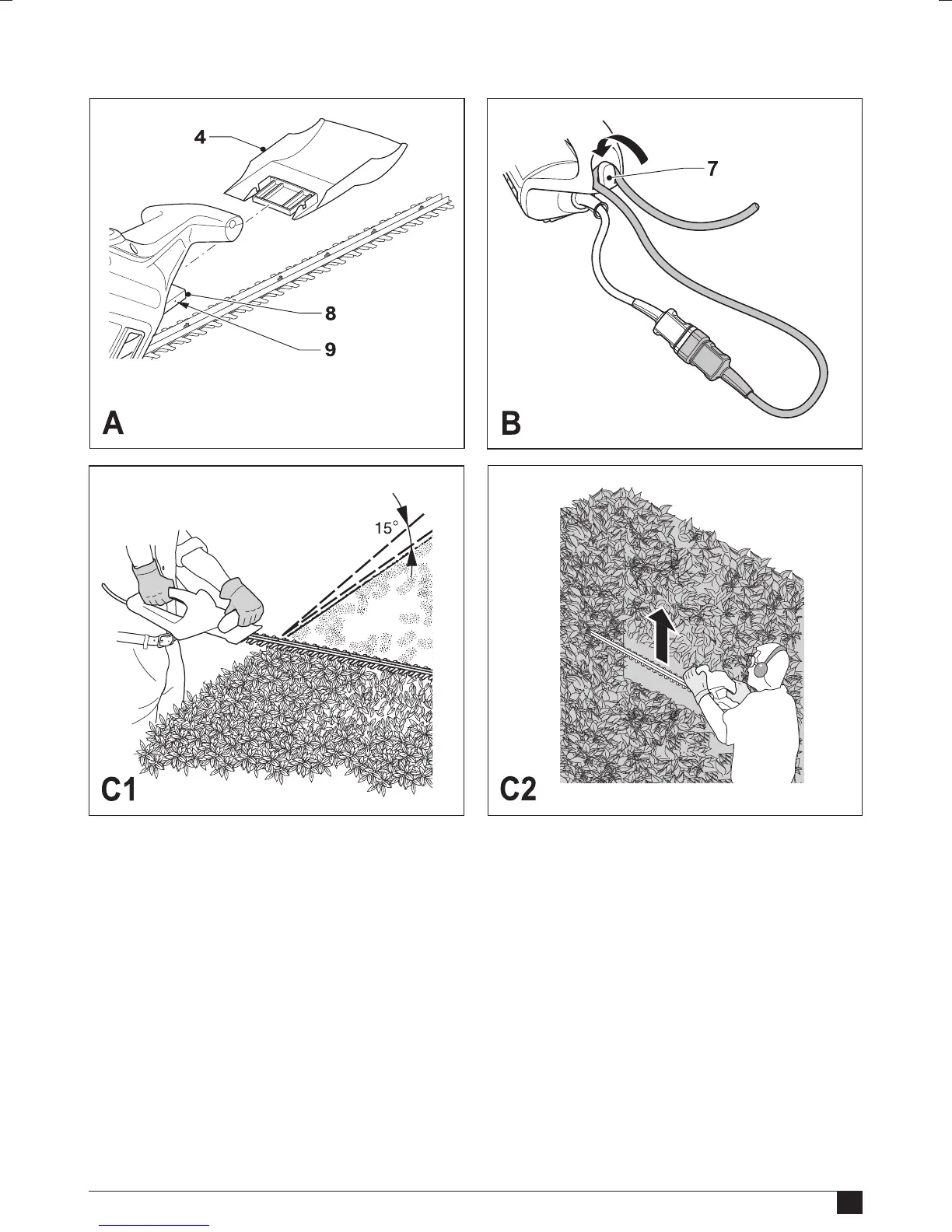 Page #3 background image