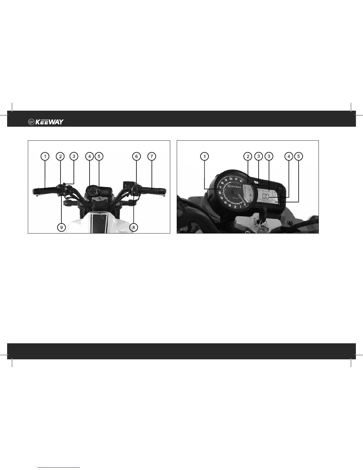 Page #8 background image