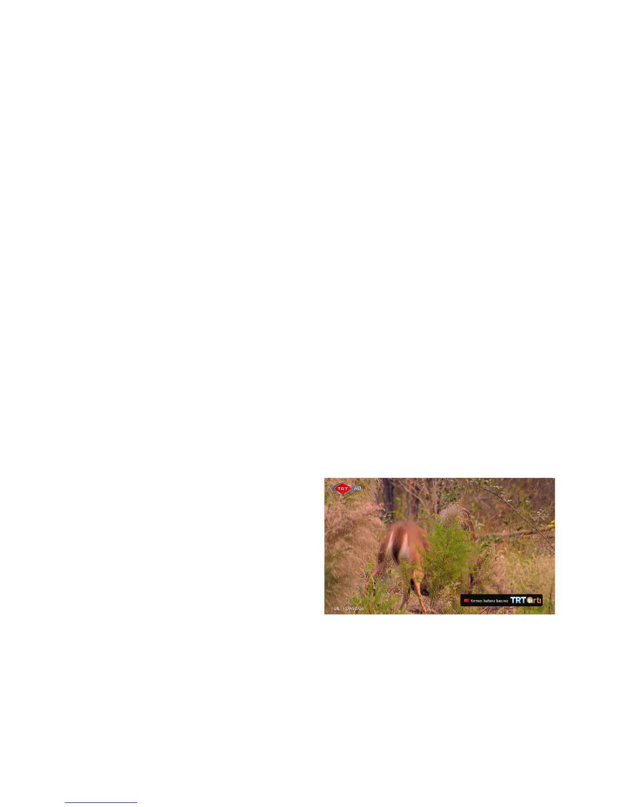 Page #34 background image