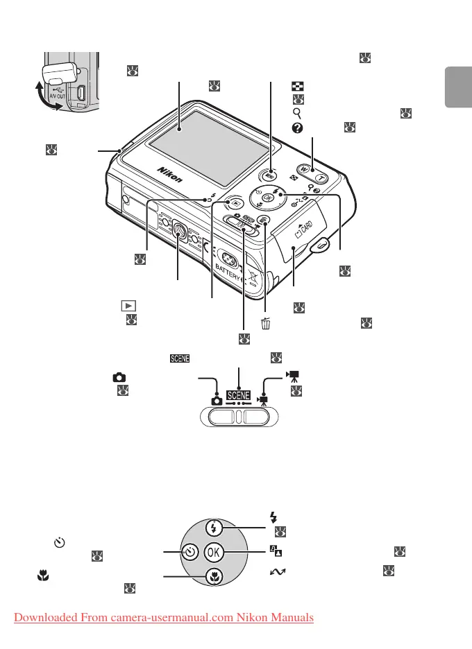 Page #15 background image
