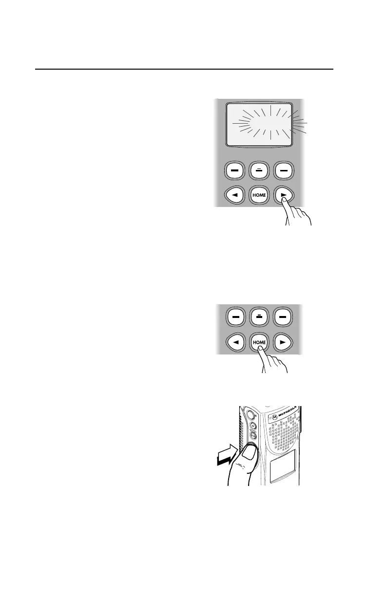 Page #36 background image