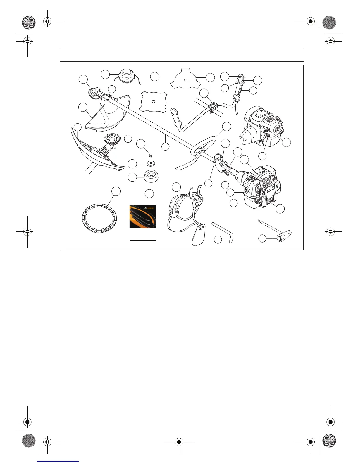 Page #5 background image