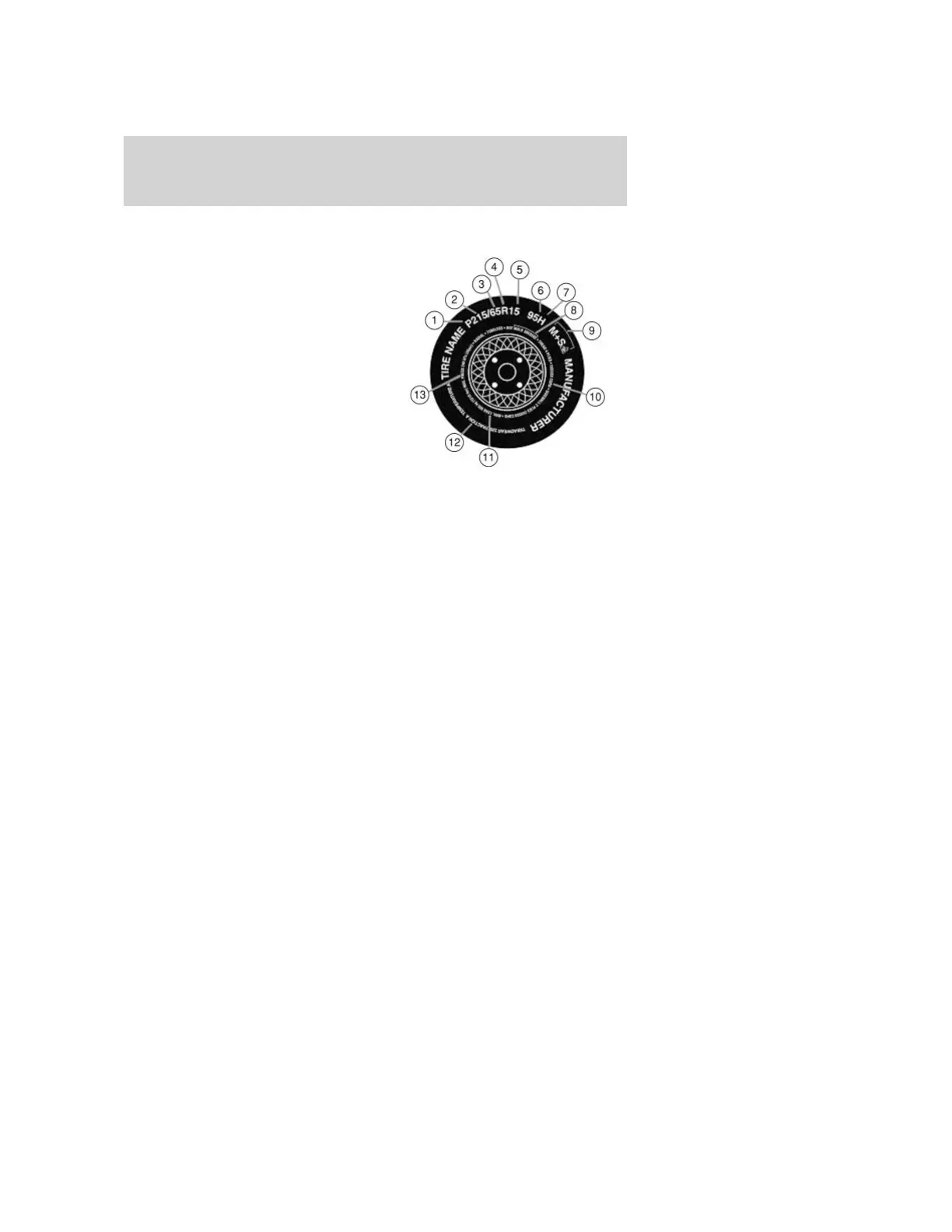 Page #515 background image