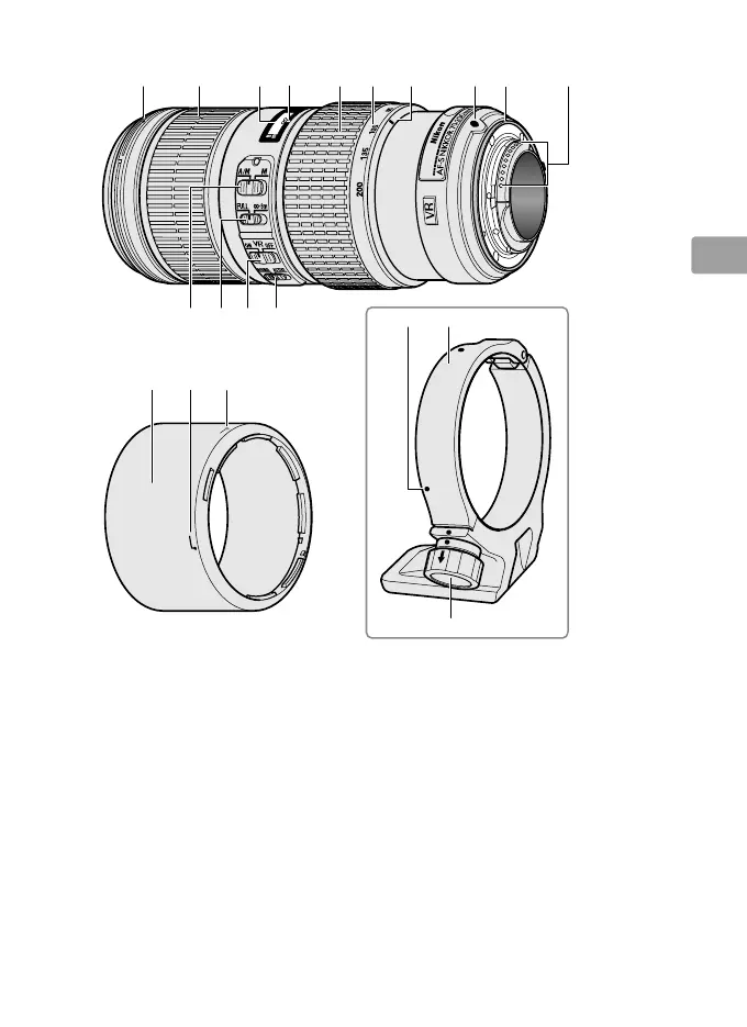 Page #43 background image