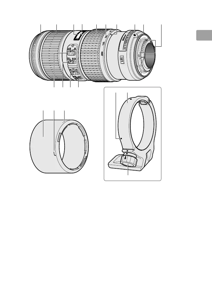 Page #13 background image