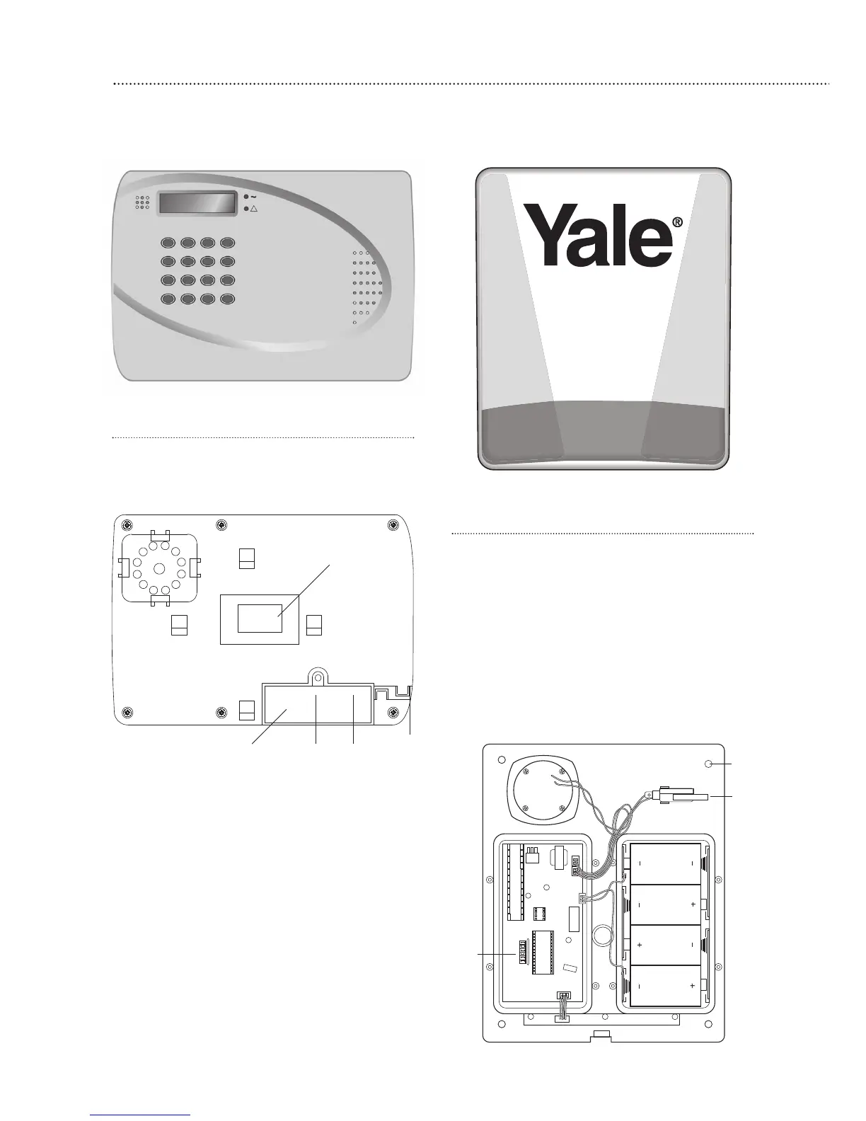 Page #6 background image
