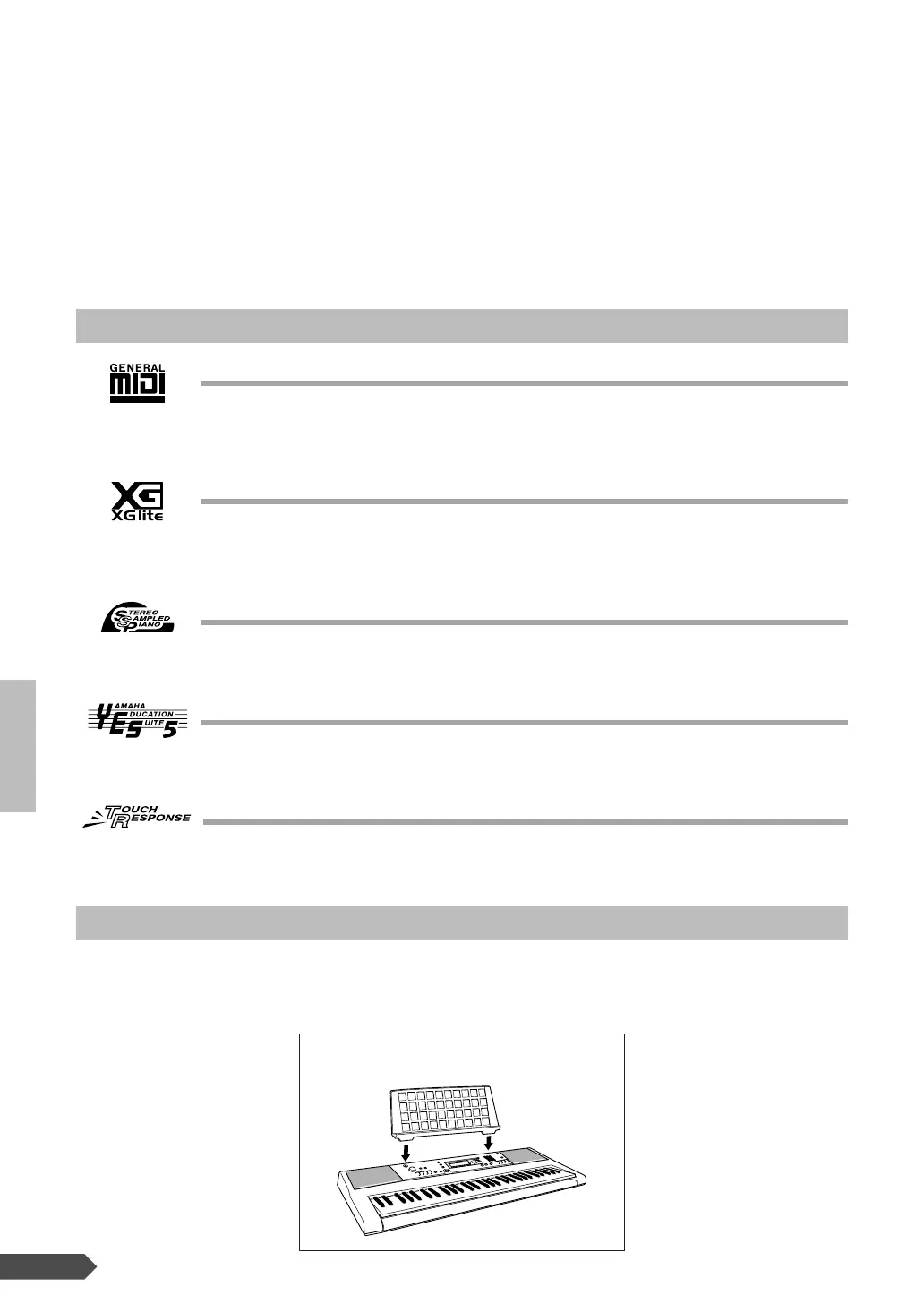 Page #6 background image