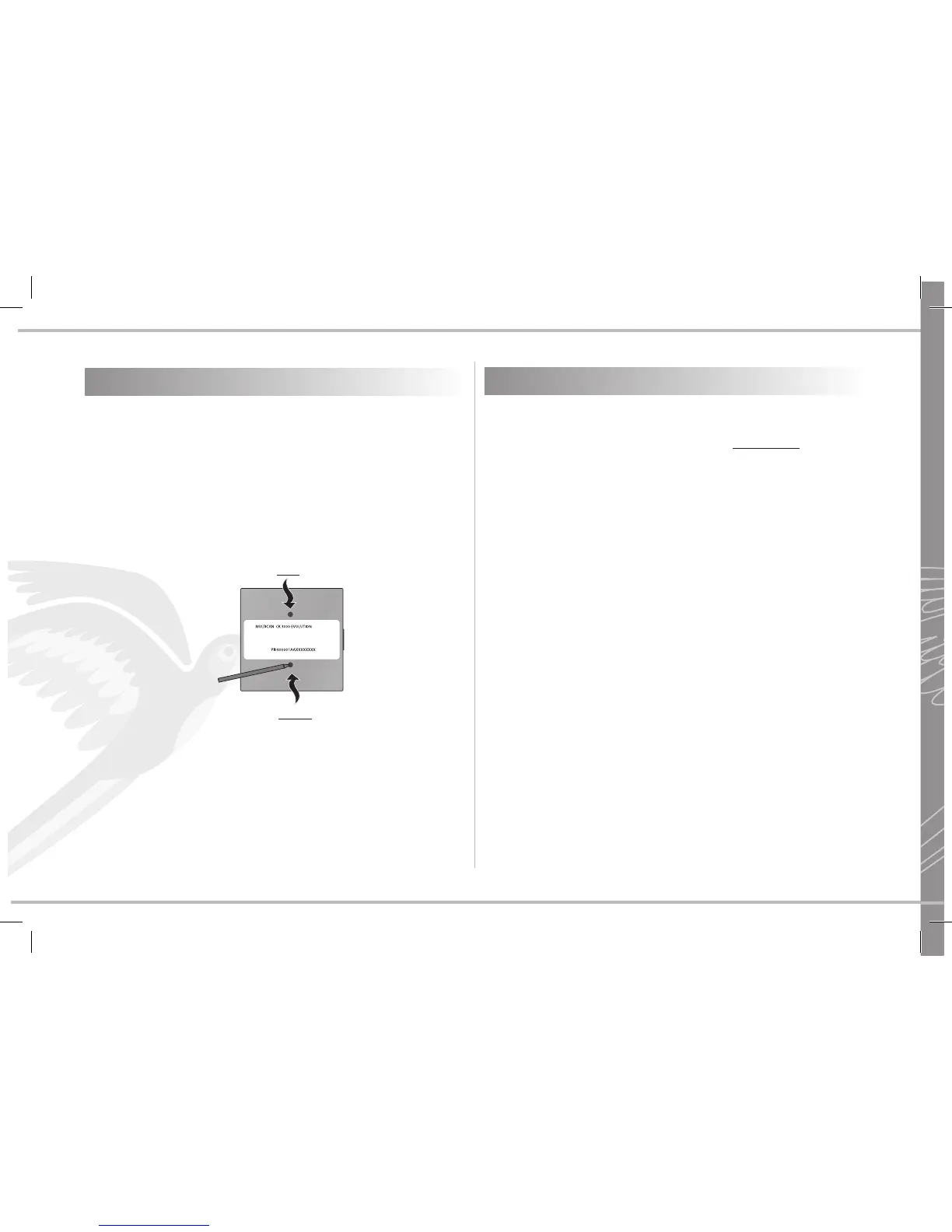 Page #66 background image