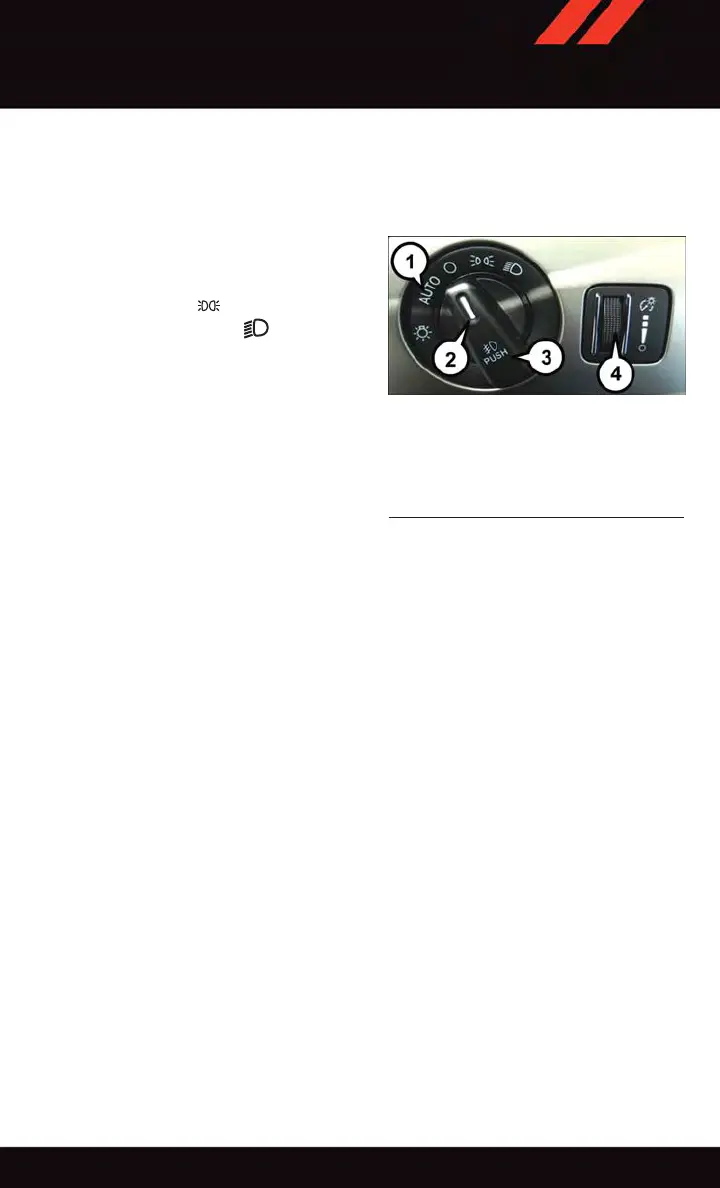 Page #43 background image