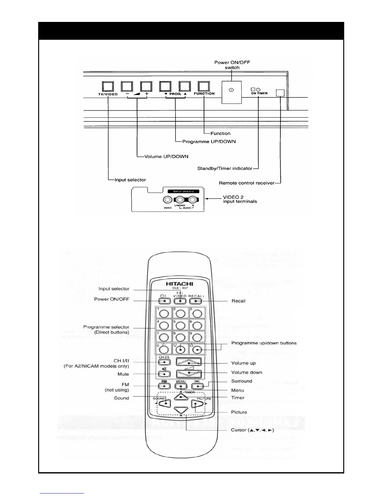 Page #3 background image