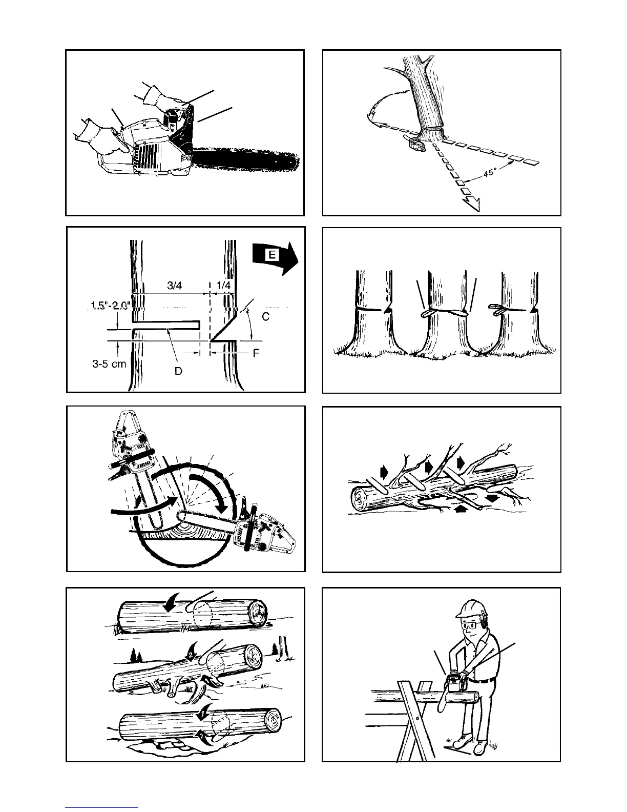 Page #8 background image
