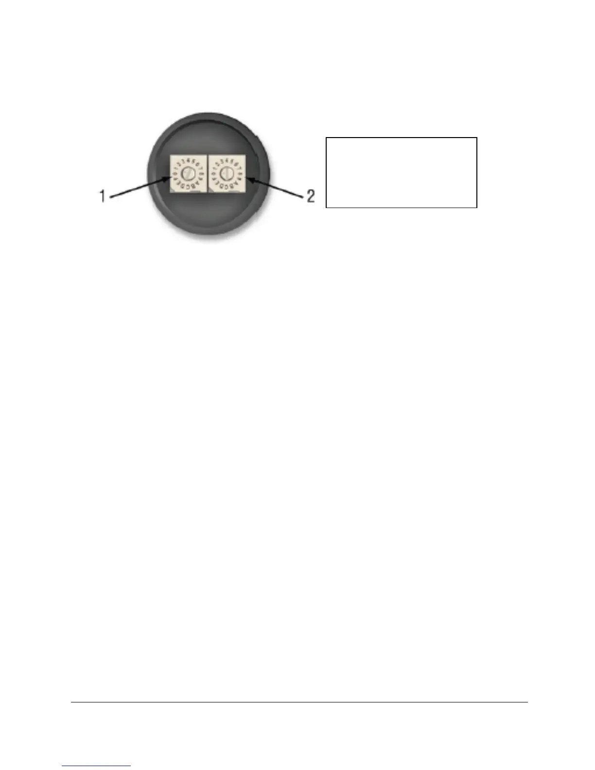 Page #40 background image