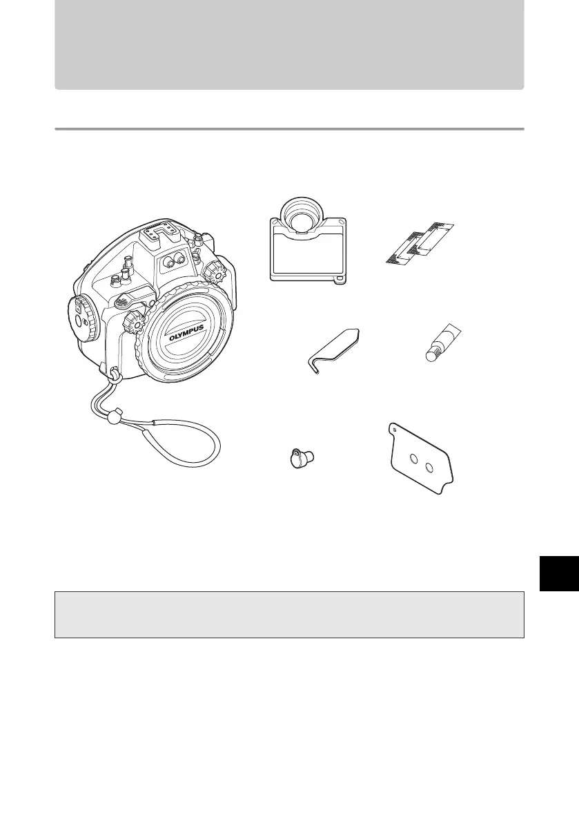 Page #55 background image