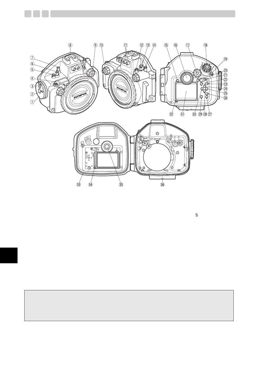 Page #56 background image