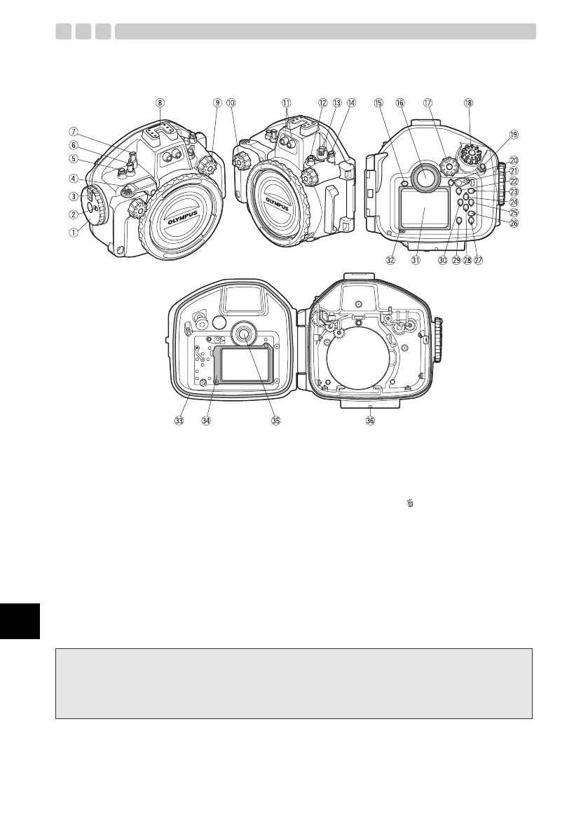 Page #80 background image