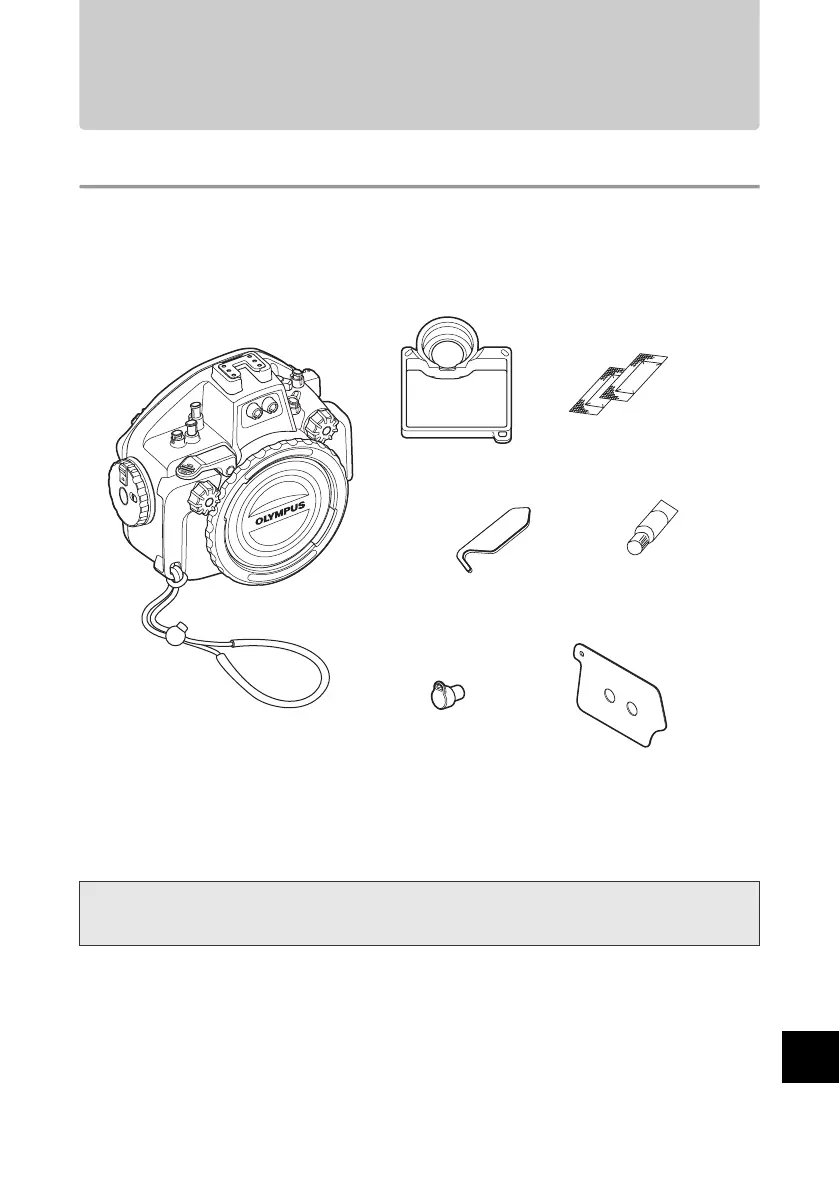 Page #151 background image