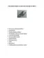 Preview: Manual