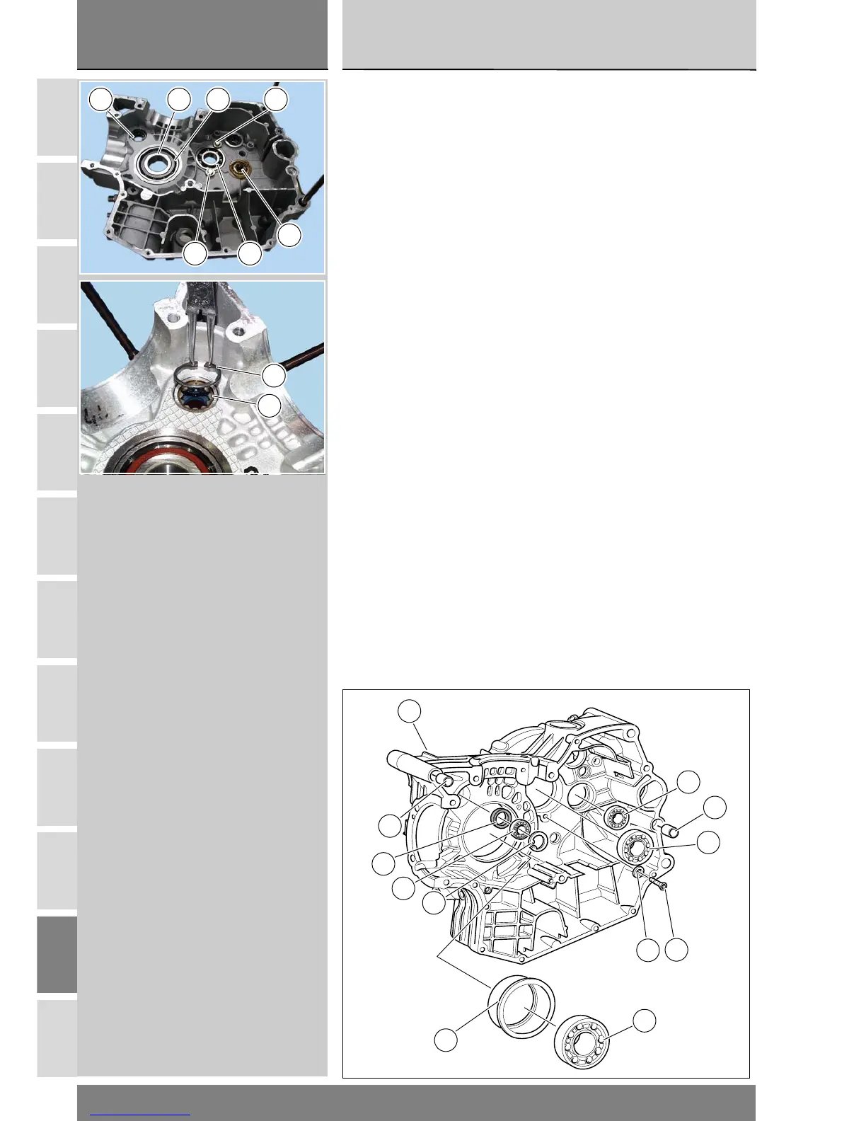 Page #529 background image