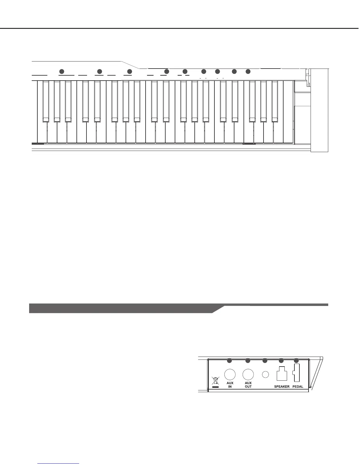 Page #5 background image