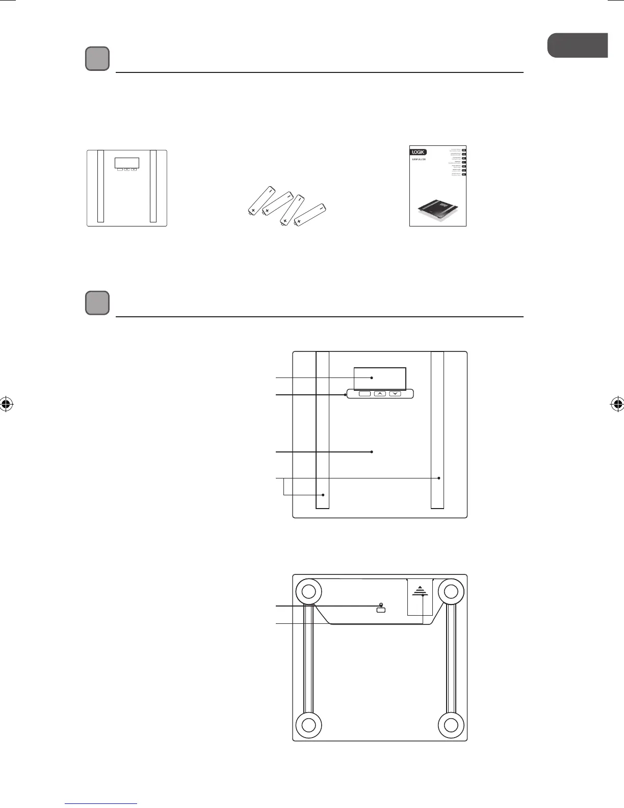 Page #19 background image