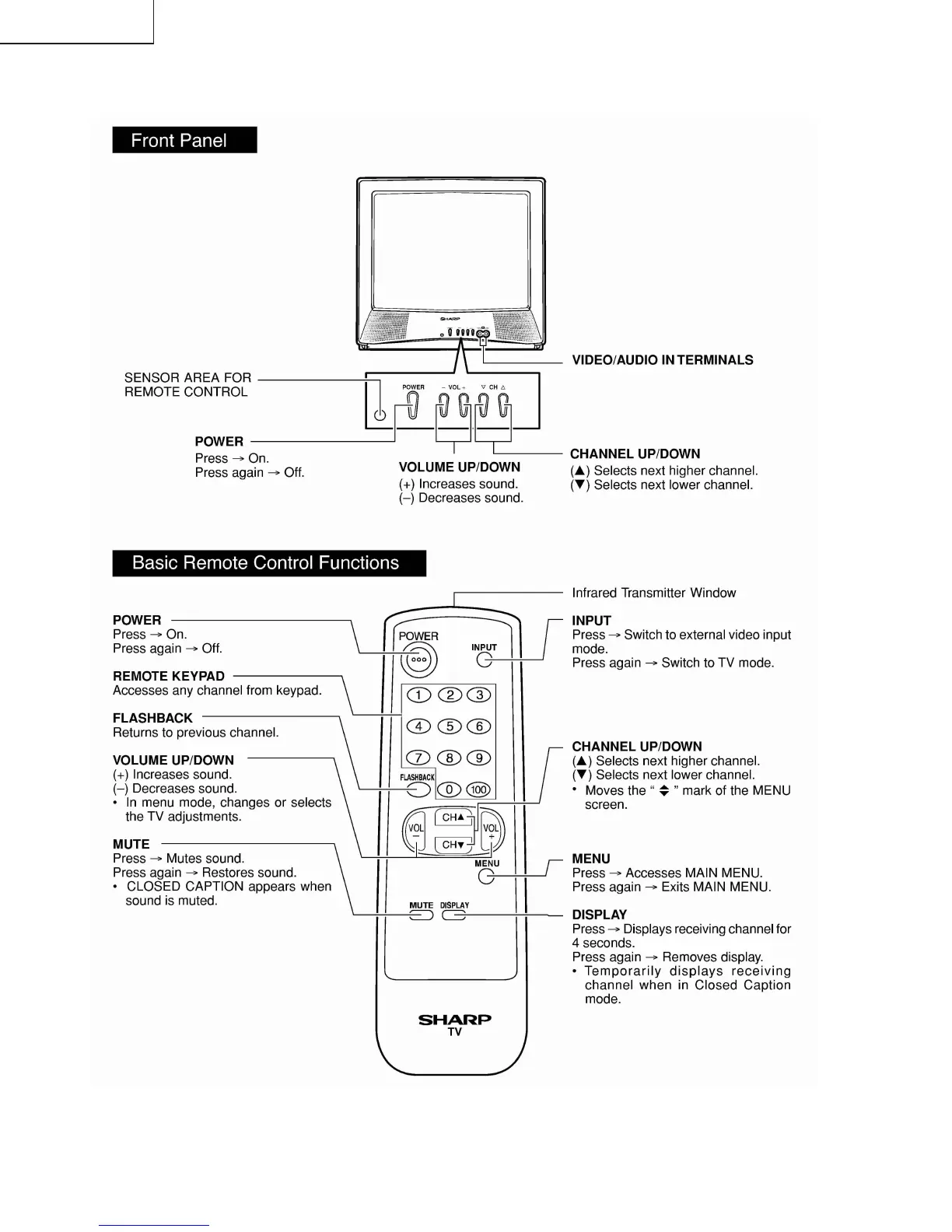 Page #4 background image