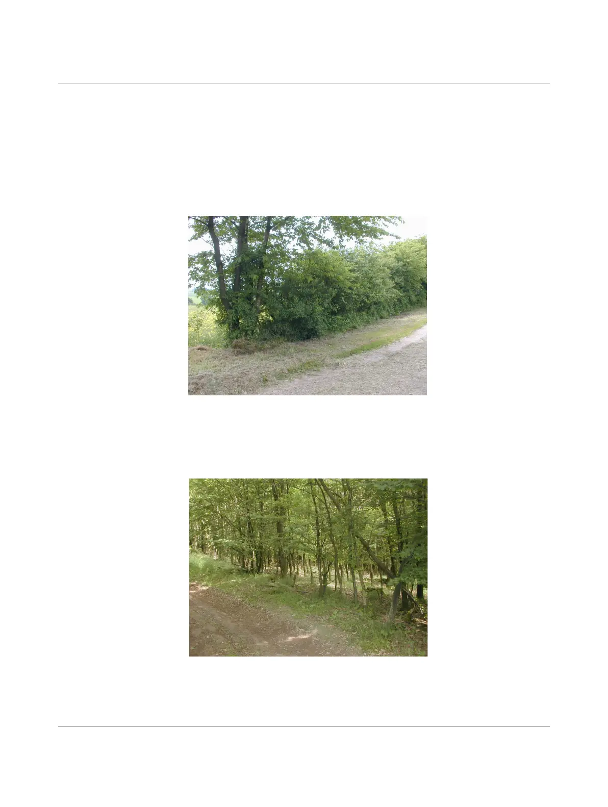 Page #145 background image
