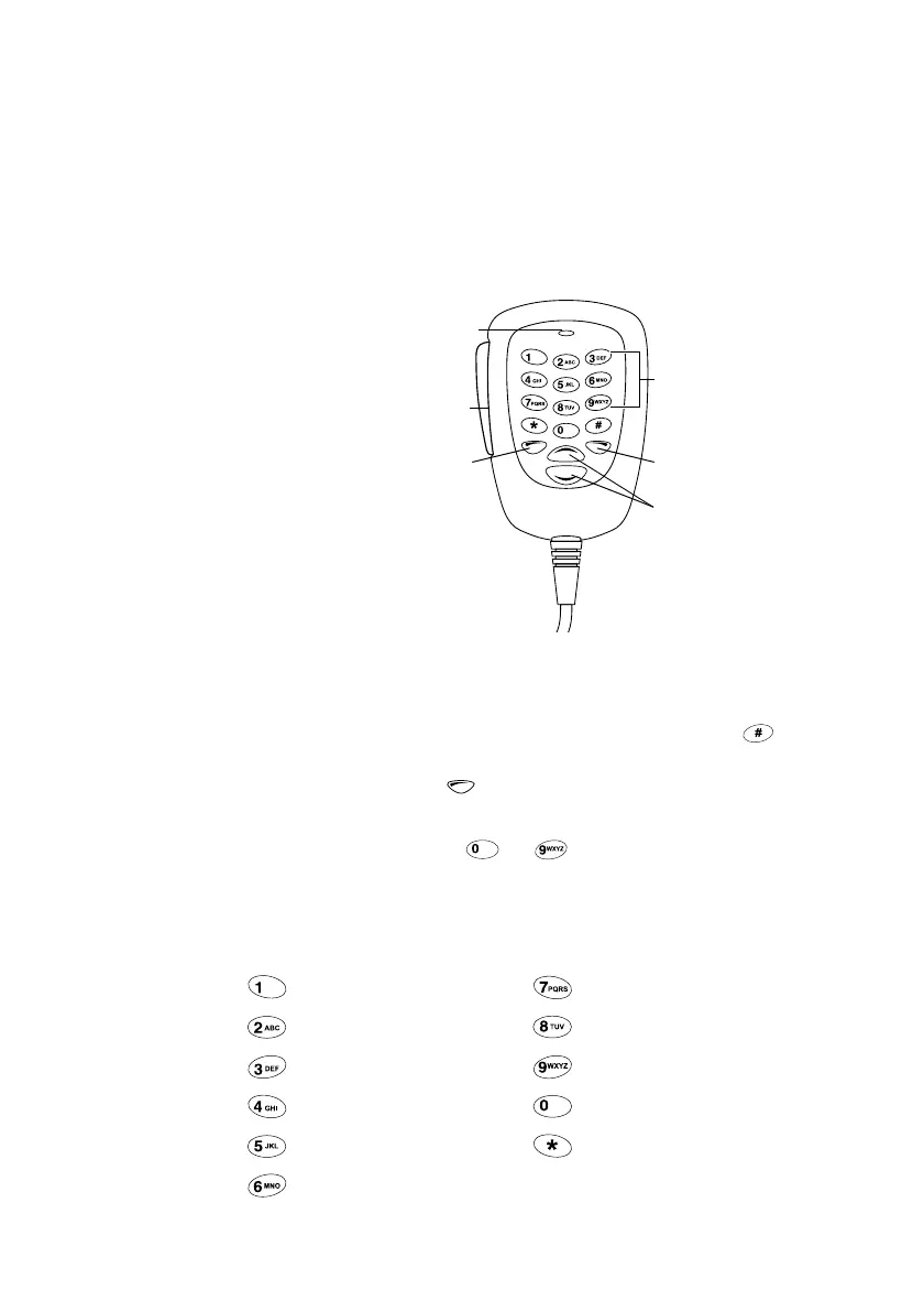 Page #21 background image